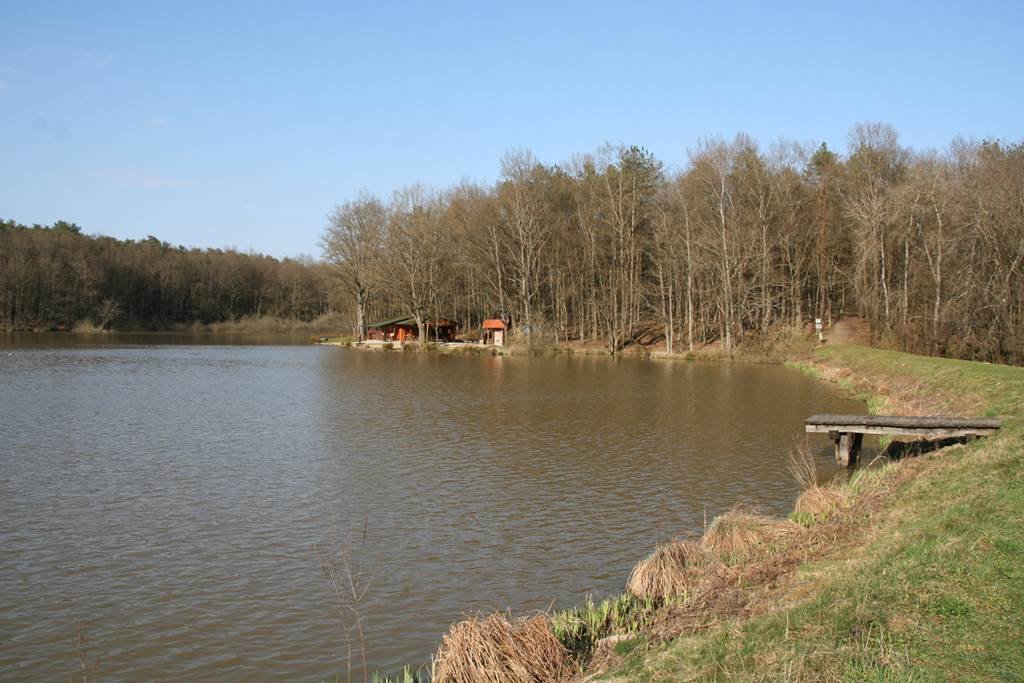 A Bakonaki tó Forrás: www.mozgasvilag.hu