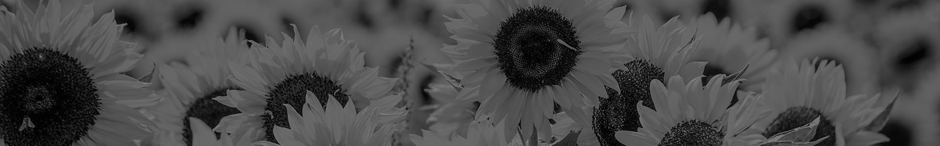 footer_bg_alt