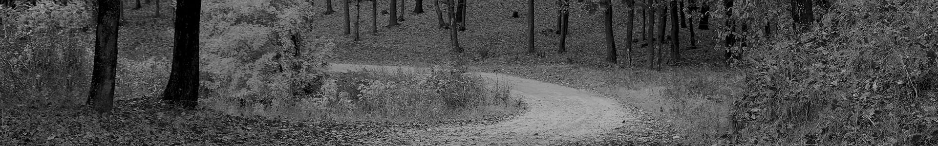 footer_bg_alt