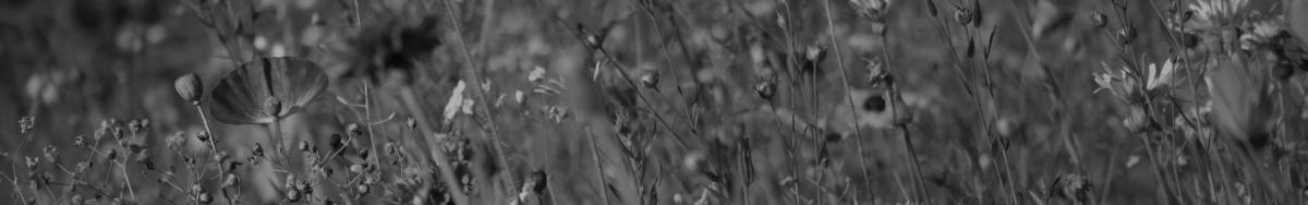 footer_bg_alt
