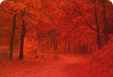 cta_newsletter_alt