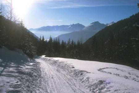 Zillertal Arena