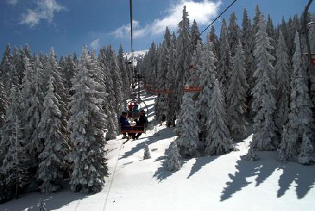 Kopaonik