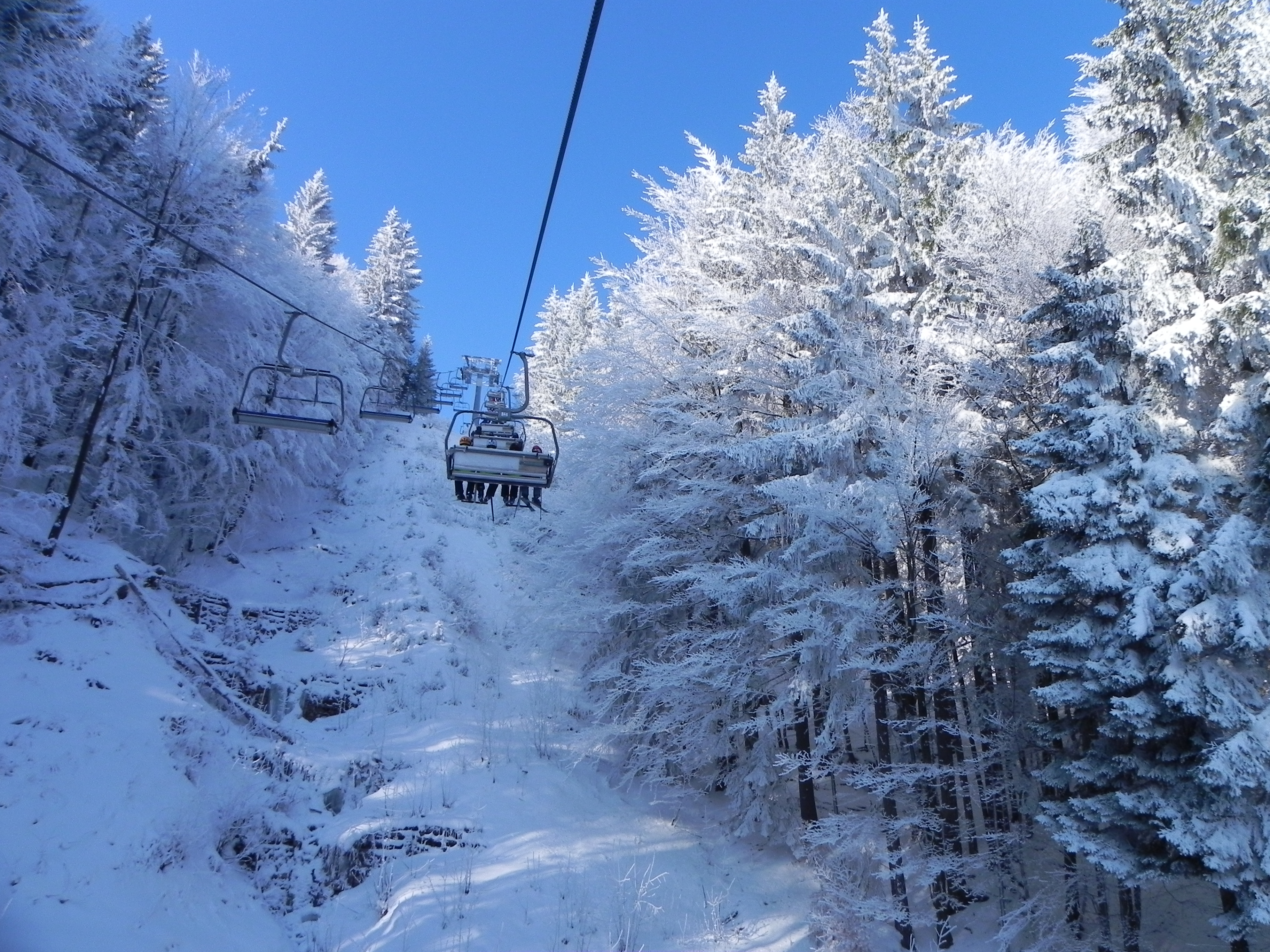 Kranjska Gora