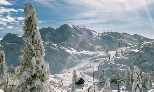 Vogel-Bohinj