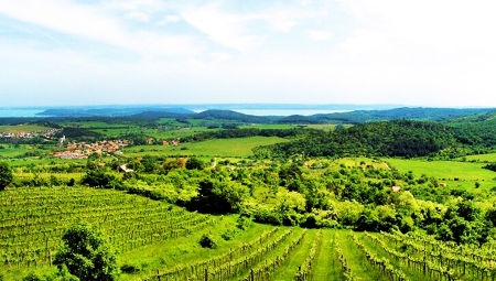 Balatoni kilátó kerékpártúra