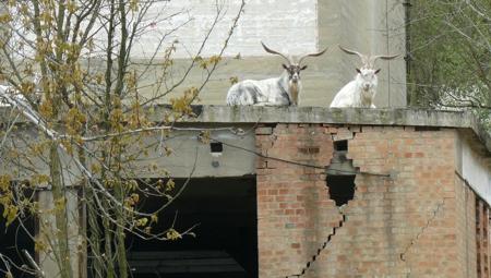 Szellemvárosi ereszkedés