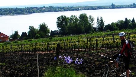 Kisnánai vár túra