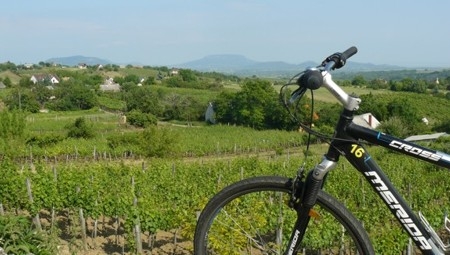 Balatoni hullámvasút