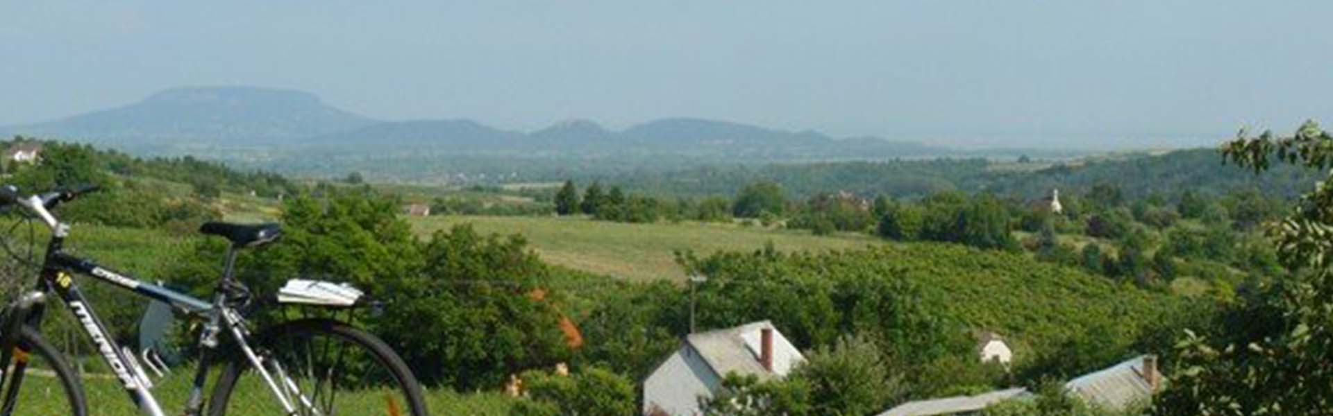 Balatoni hullámvasút