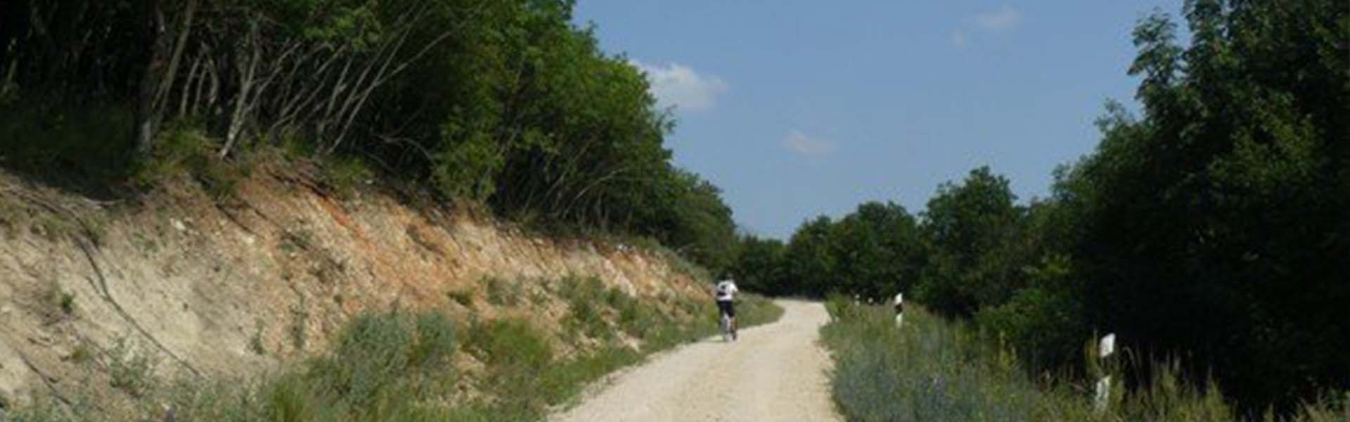 Római fürdő a Bakonyban