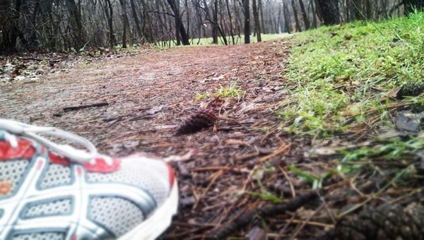 Naplás-erdei terepfutás