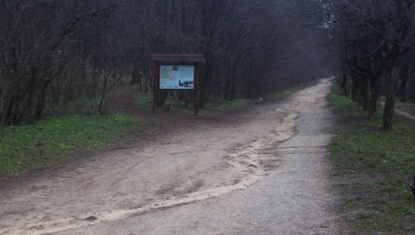 Kamaraerdő Piros kör