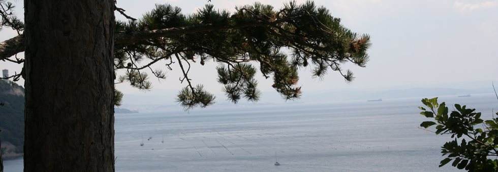 Alpok-Adria Túra 34. szakasz Túra