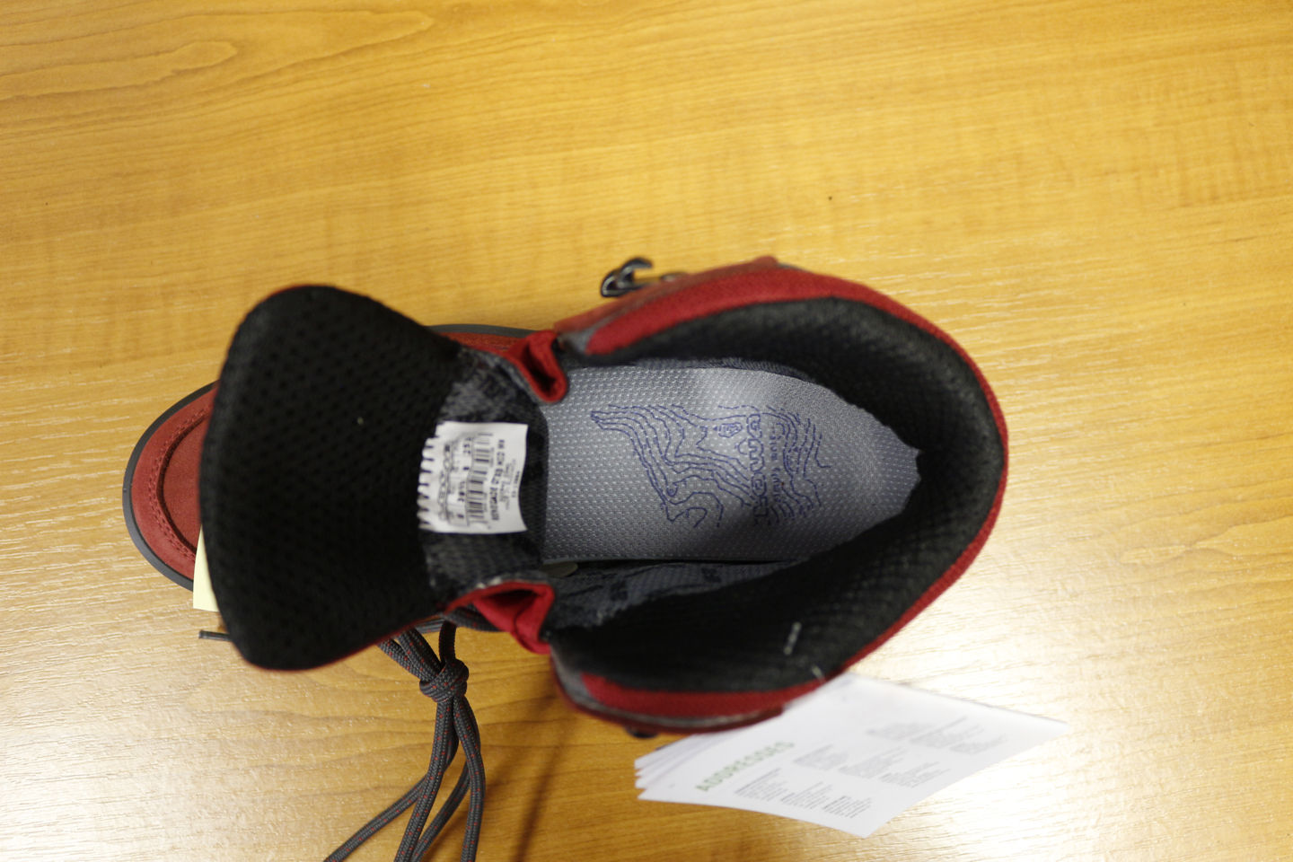 Lowa Renegade GTX Mid WS