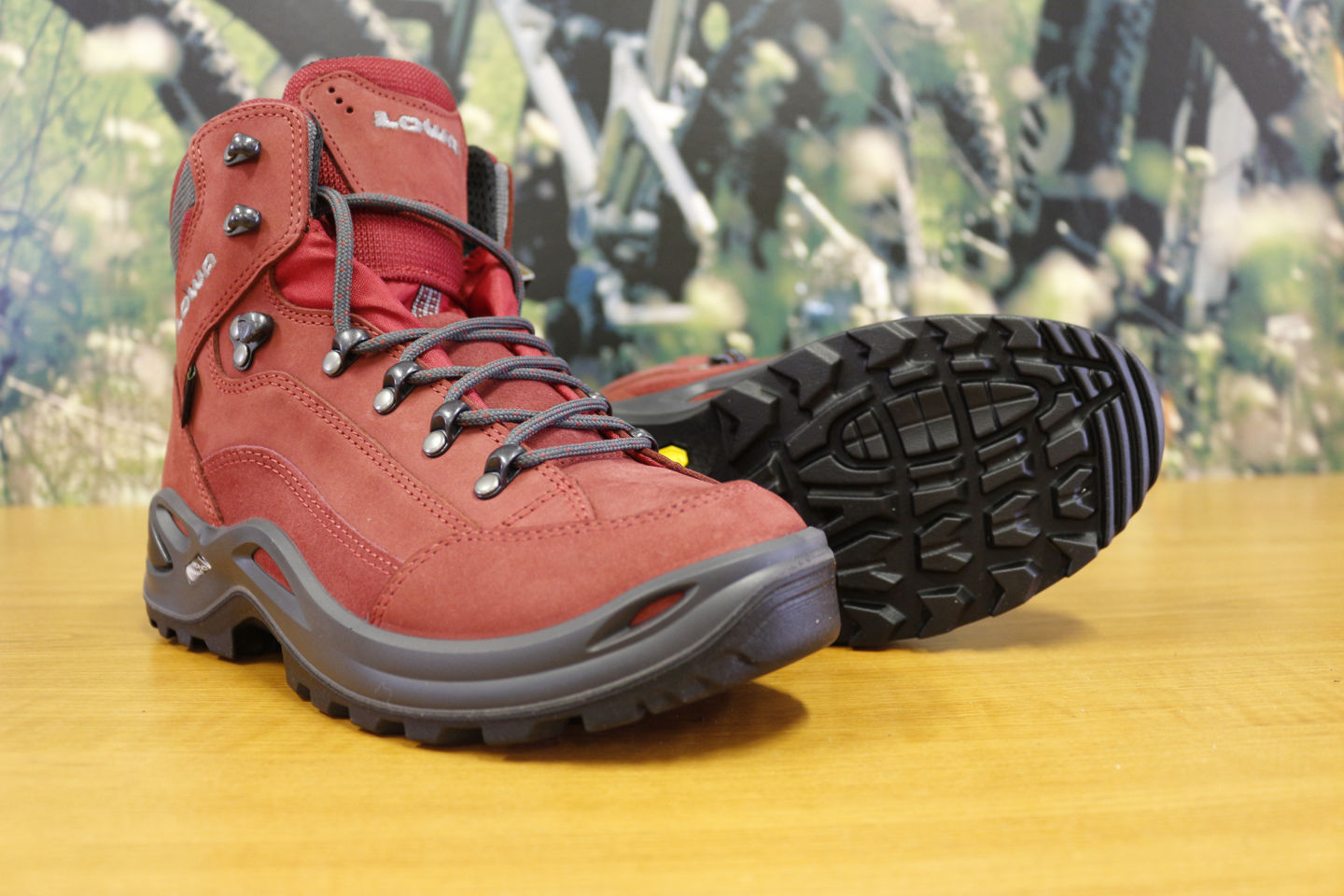 Lowa Renegade GTX Mid WS