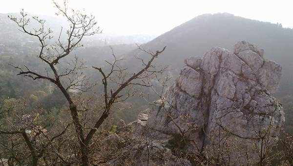 Gyermekvasút futókör