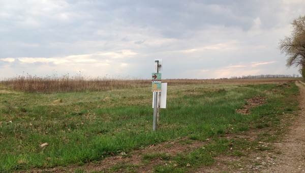 Felfedező kör a Fertő-tó mellett