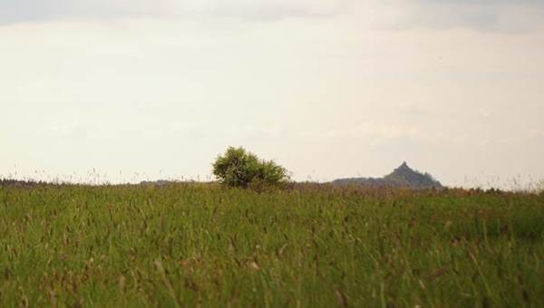 Salgó-vár közepes túra