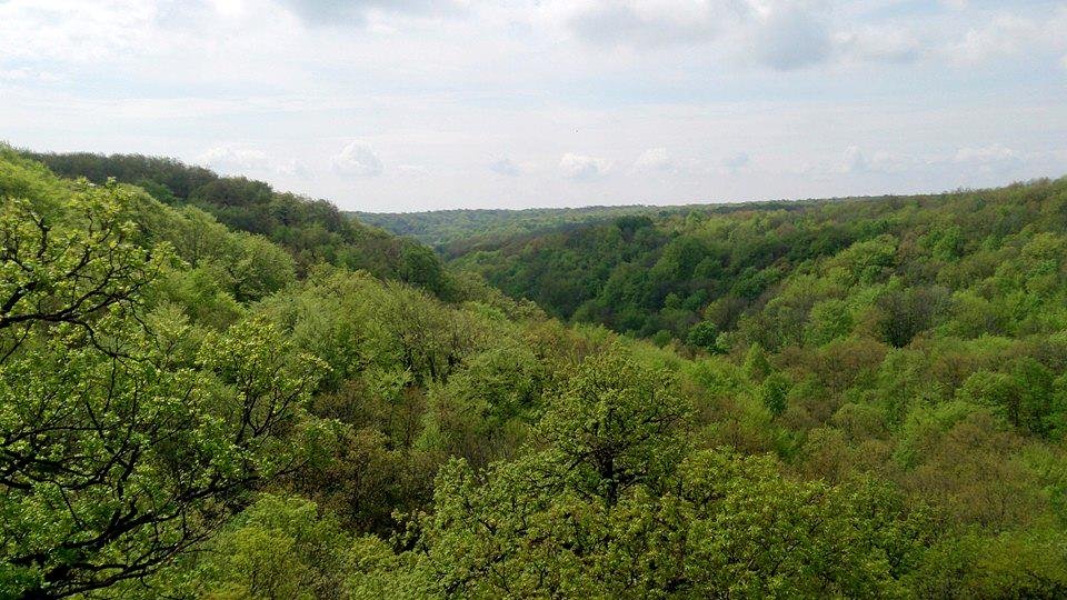 Kilátás a Géza pihenőtől