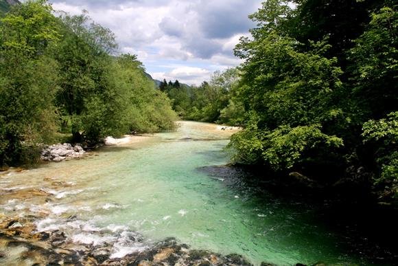 A Sava Bohinjka a tó nyugati oldalán.