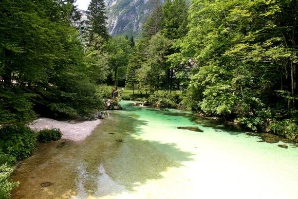 A Sava Bohinjka a tó nyugati oldalán.