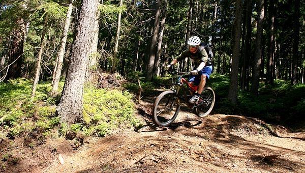 Koroška downhill kör