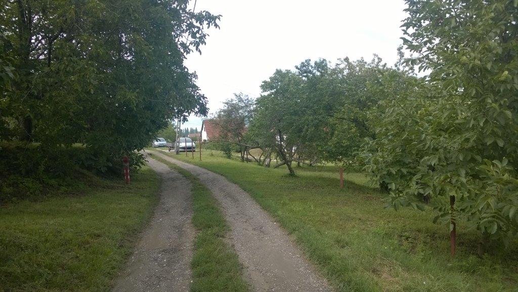 Zamárdi strandról kőhegyi kilátóra