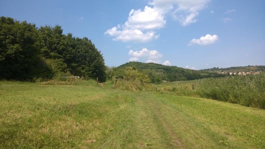 Futás a tihanyi Belső-tó körül