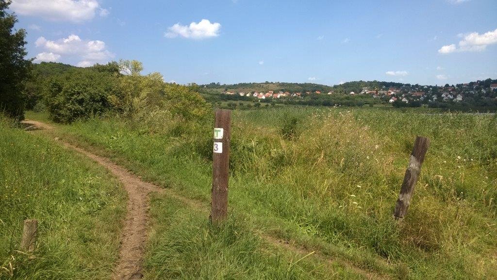 Futás a tihanyi Belső-tó körül