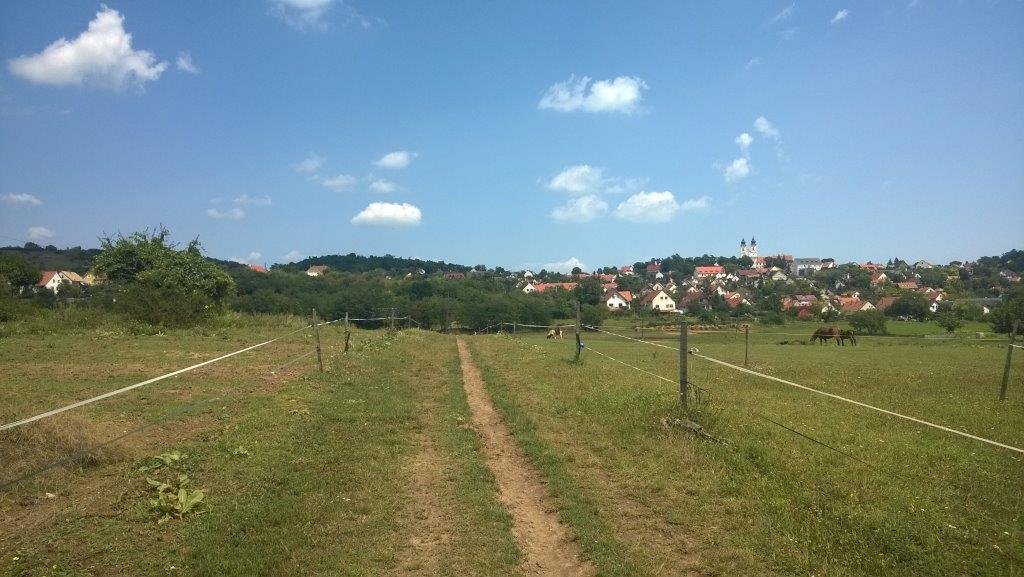 Futás a tihanyi Belső-tó körül