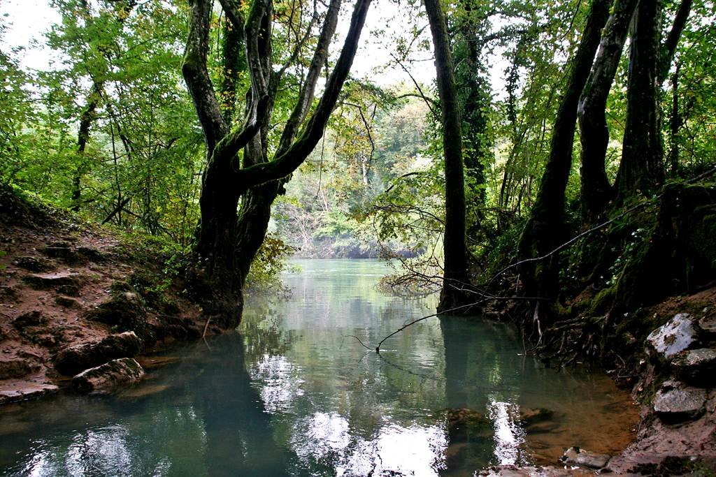A Kolpa folyóba ömlő forrás. Forrás: www.mozgasvilag.hu