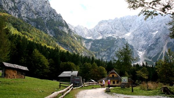 Alpesi mező túra a Goli vrh nyeregbe