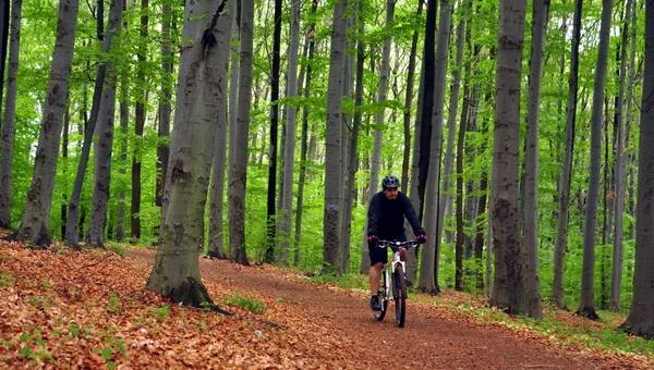 A gyógyulás útján