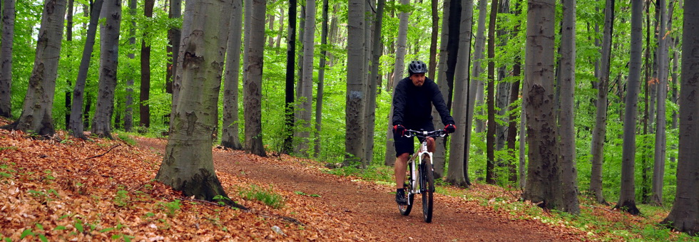 A gyógyulás útján