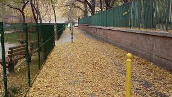 Újpestről a Városligetbe