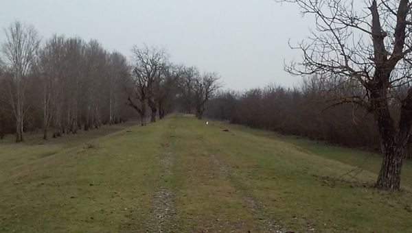 Kisbukó - futás a Túr mentén