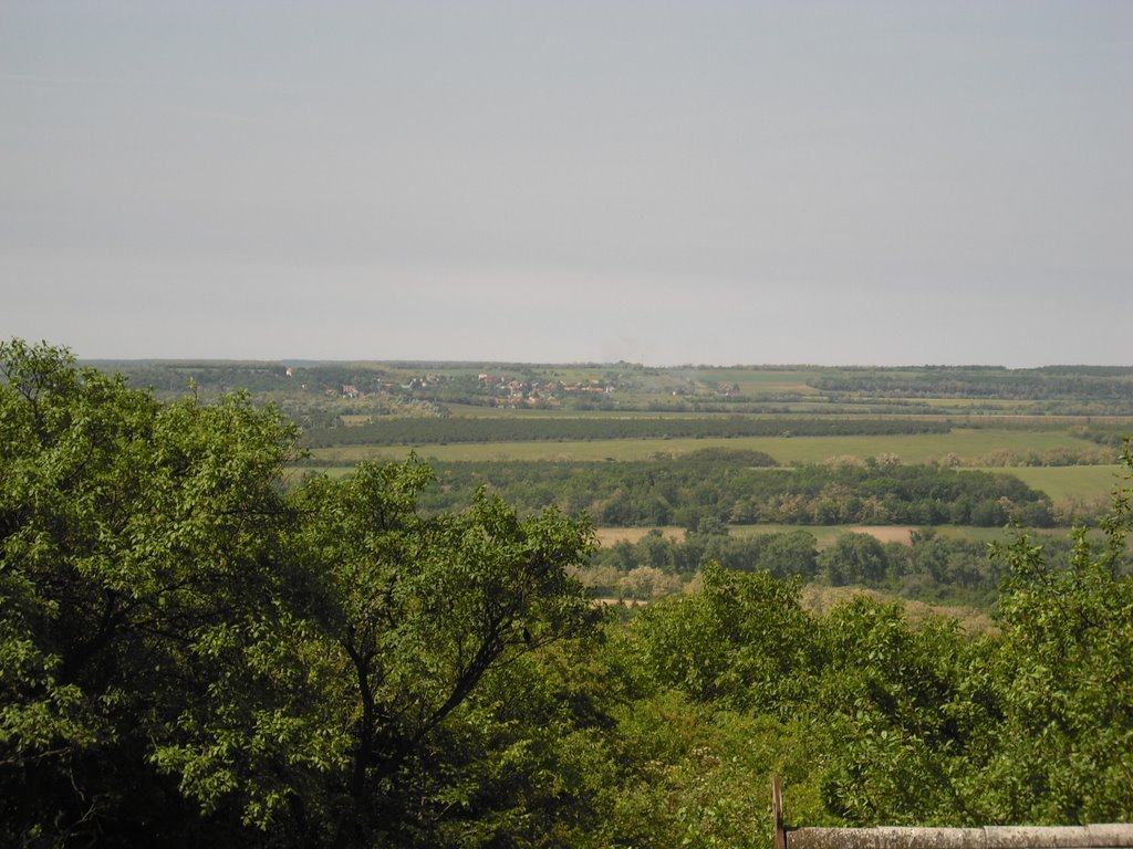 Pusztazámor ForrĂĄs: Orosz Gabriella