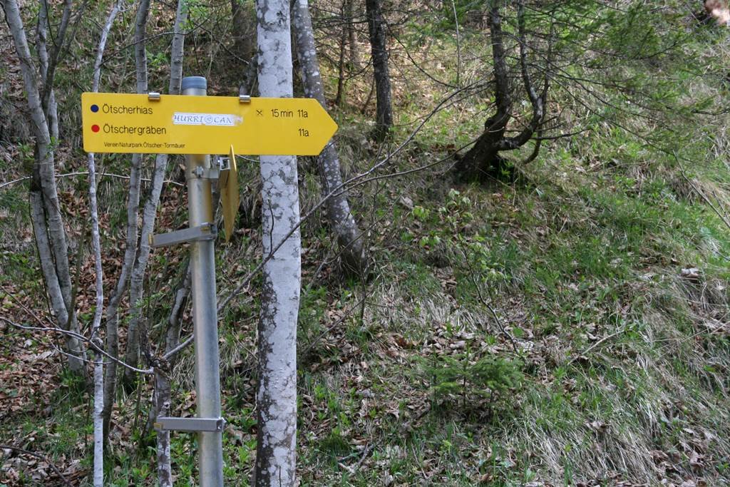 Tovább az Ötscherhias felé