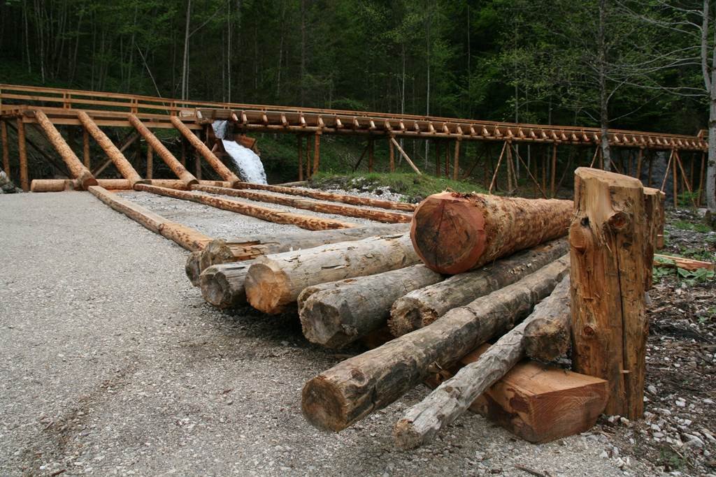 Így érkeznek a fák a patakból