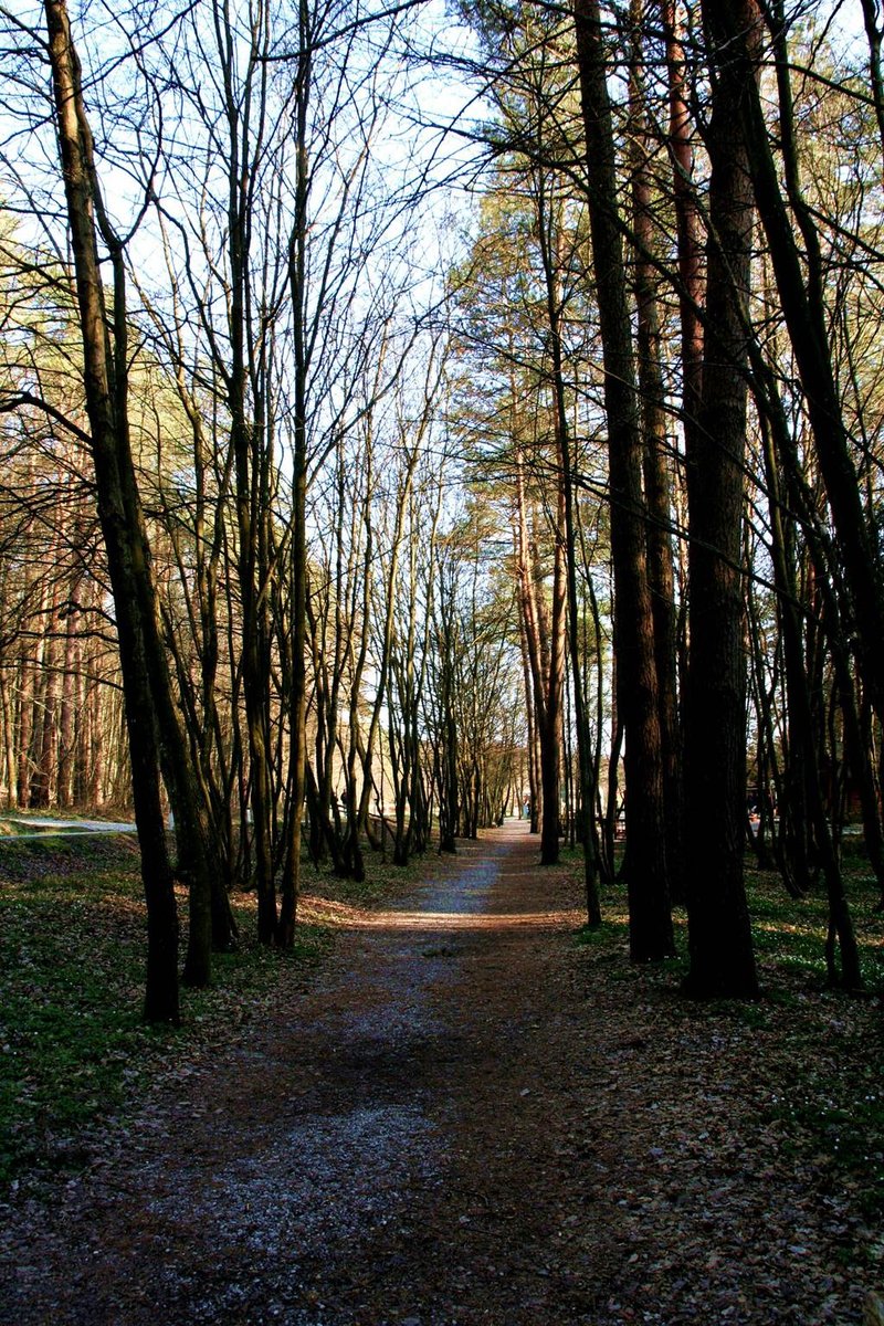 Túraösvény vissza a parkolóhoz