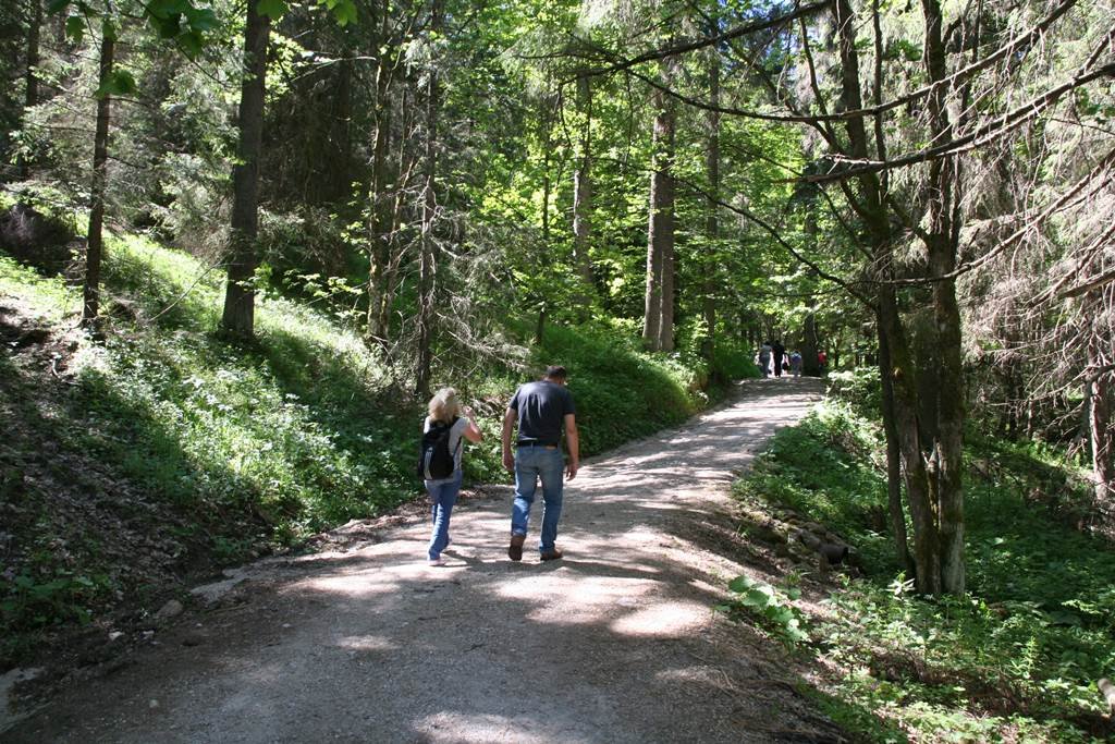 Erdei út a Dobsinai jégbarlanghoz