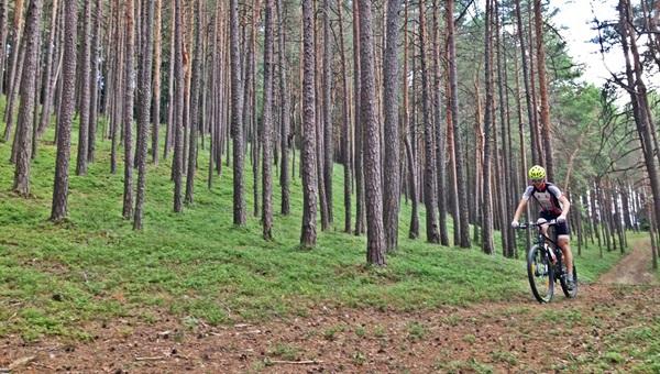 Titkos MTB túra Bucklige Weltben