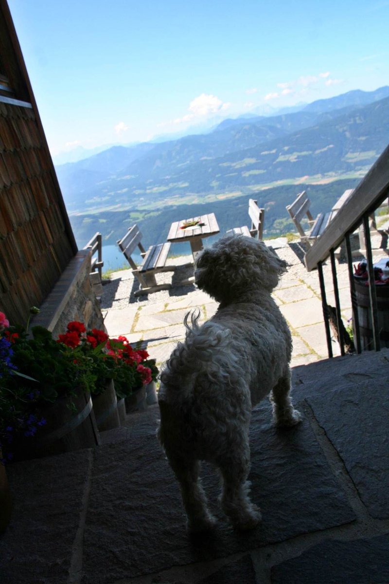 Az Alexanderhütte hős házörzője