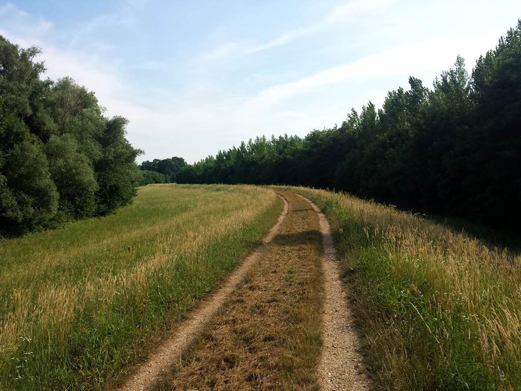 Felhőtlen és zavartalan környezet