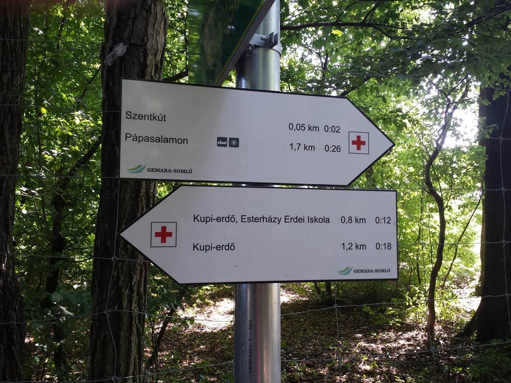 Útjelző táblák a Kupi-erdőben