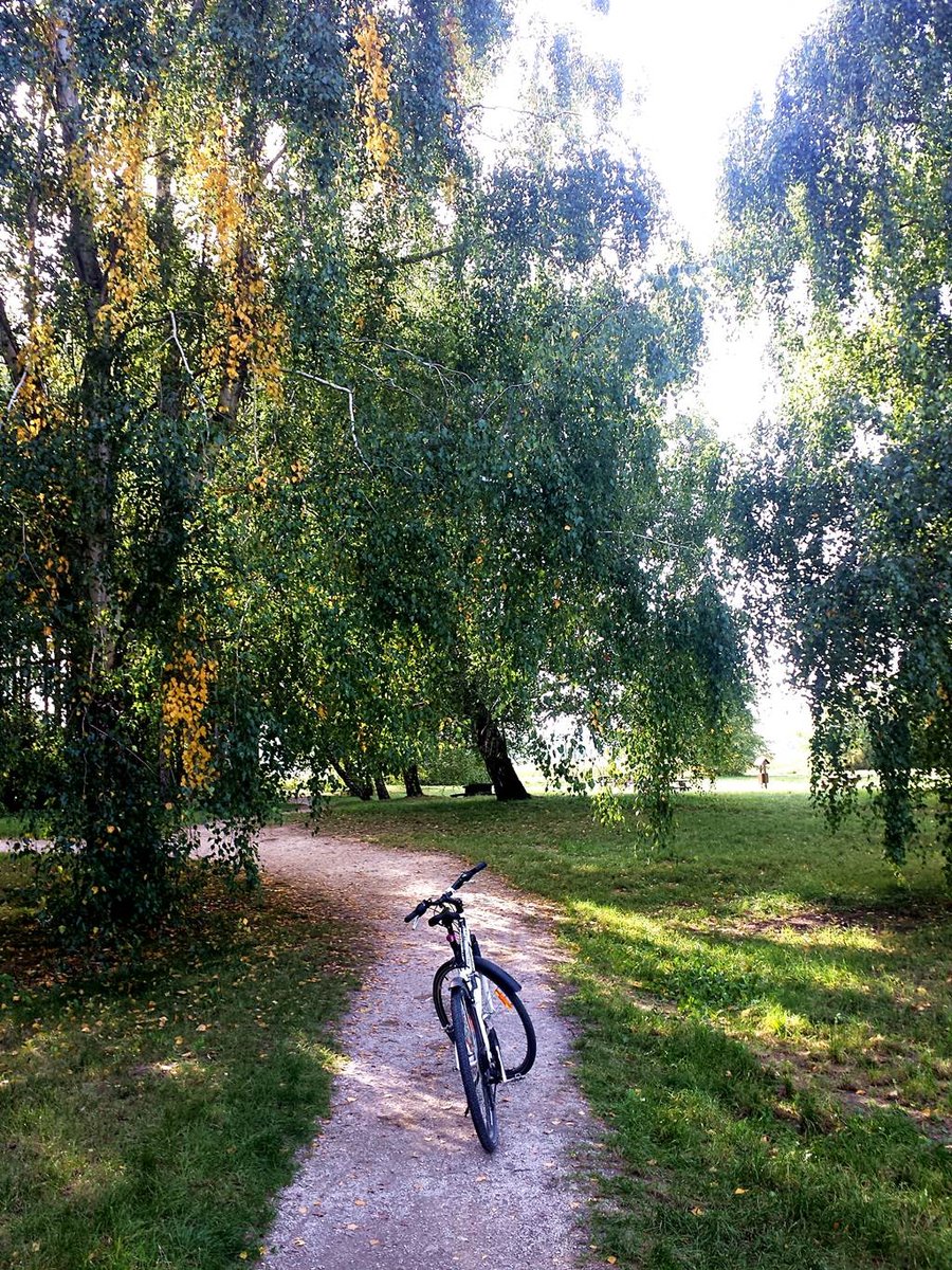 A Kányavári sziget belülről