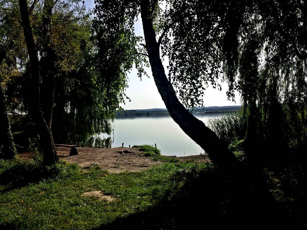 A Kányavári sziget belülről Forrás: www.mozgasvilag.hu