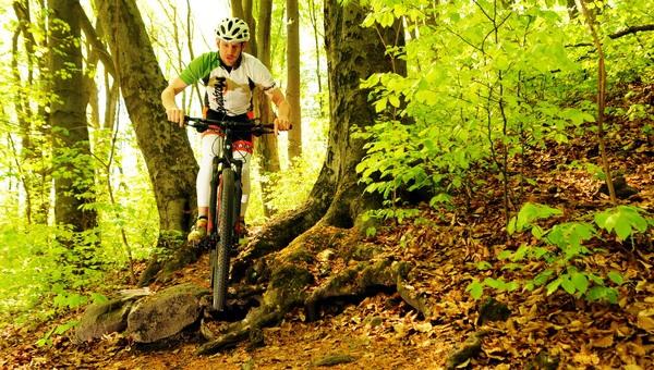 Várkerülős tatárjárás