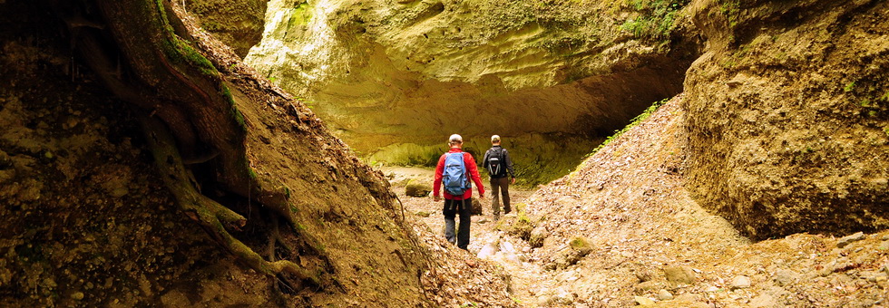 Időutazás a Föld kamasz korába